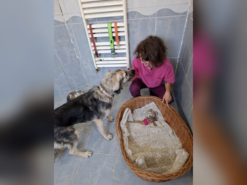 Süße Vio sucht ihre Familie