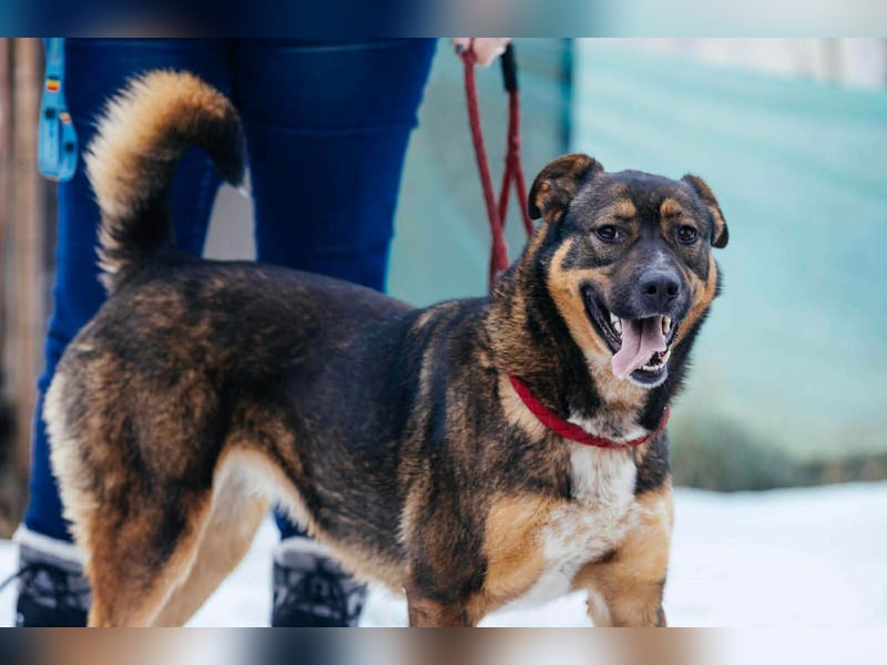 Amira möchte endlich ein liebevolles Zuhause