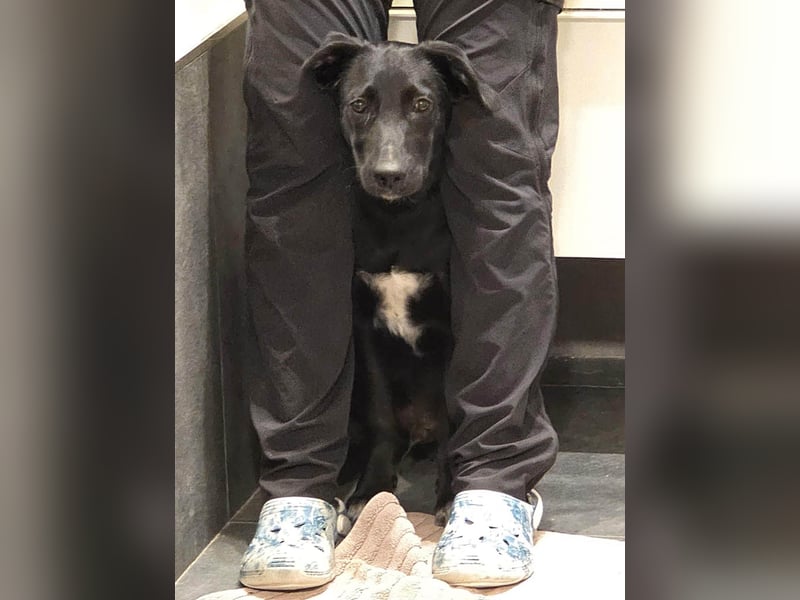 Süßer Paddy sucht seine Familie