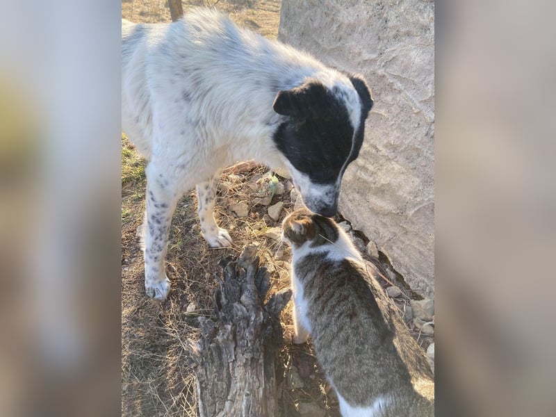 Große Monnie sucht passendes Körbchen