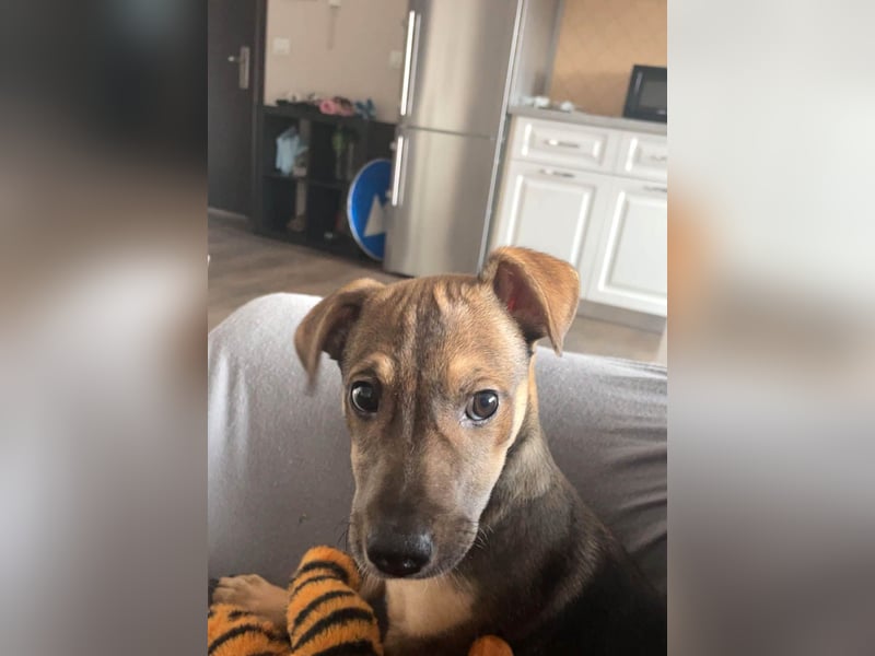 Goldige Burita will eine eigene Familie