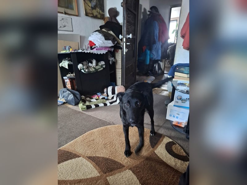 Hübsche Margo sucht ihr Körbchen