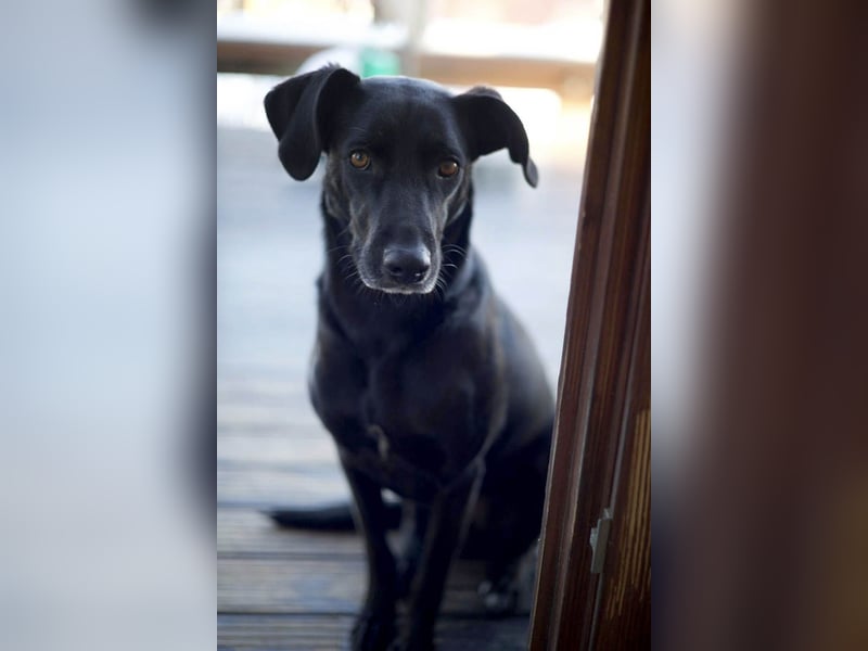 Wunderschöne Mai sucht ihre Familie