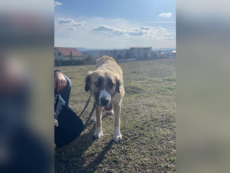 Große Odette sucht ihr eigenes Zuhause