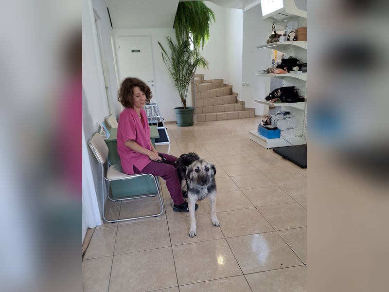 Süße Vio sucht ihre Familie