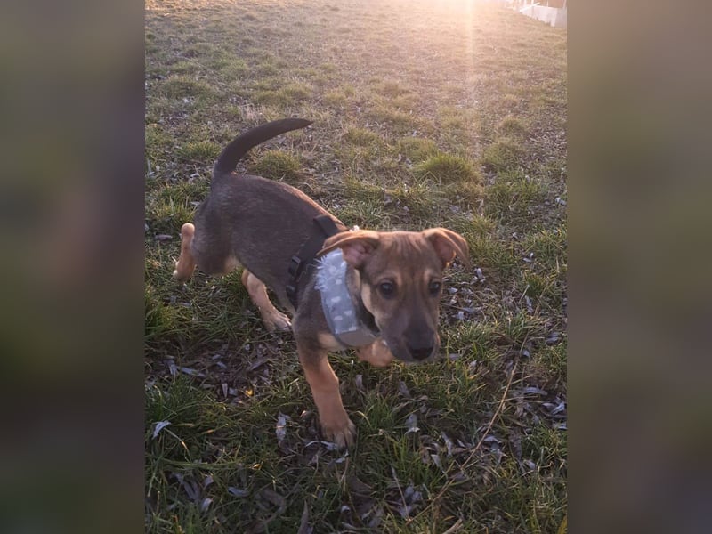 Goldige Burita will eine eigene Familie