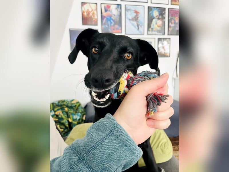 Wunderschöne Mai sucht ihre Familie