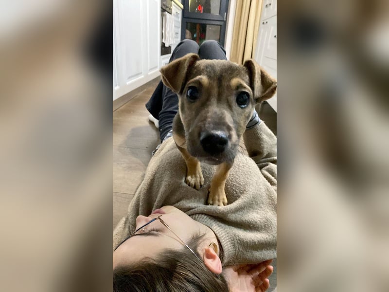 Goldige Burita will eine eigene Familie