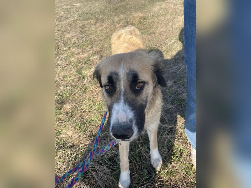 Große Odette sucht ihr eigenes Zuhause