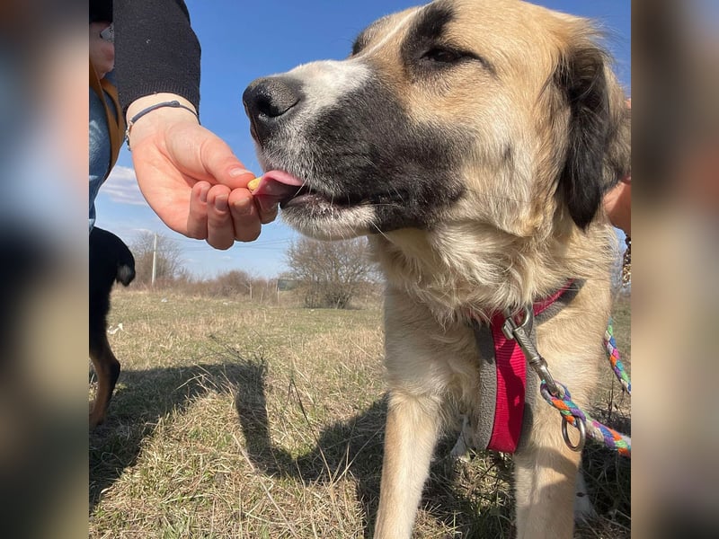 Große Odette sucht ihr eigenes Zuhause