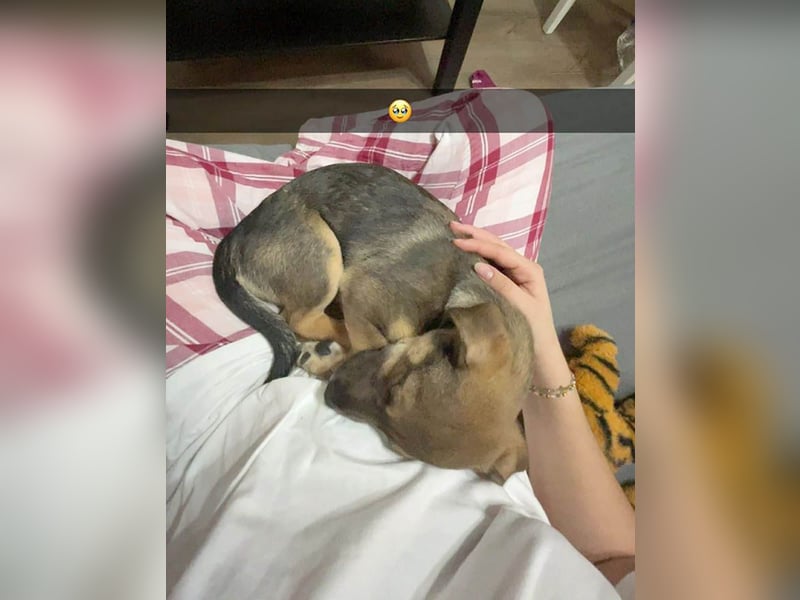 Goldige Burita will eine eigene Familie