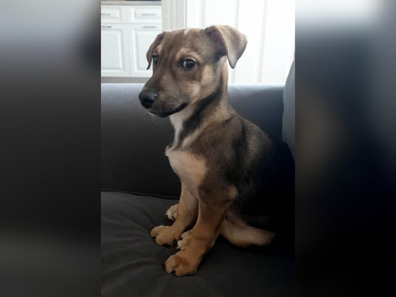 Goldige Burita will eine eigene Familie