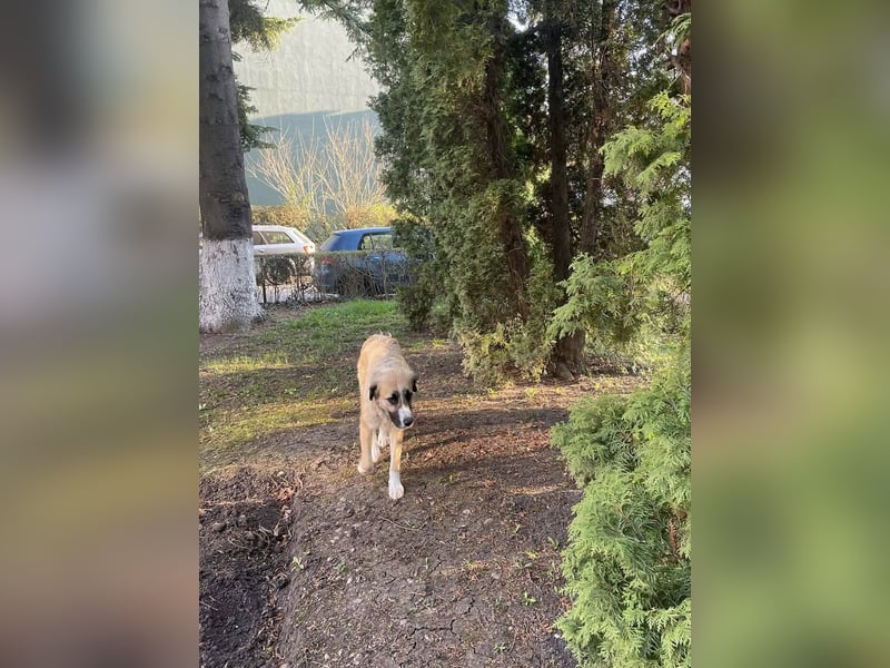 Große Odette sucht ihr eigenes Zuhause