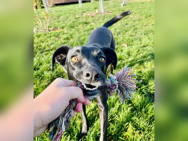 Wunderschöne Mai sucht ihre Familie