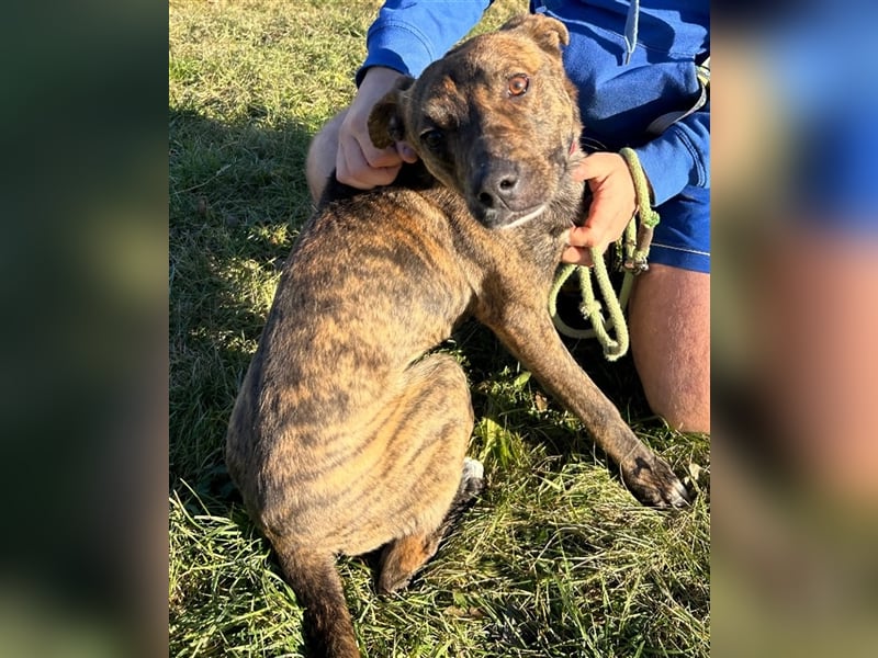 Alfónzo Zulu hat schon viel Schlimmes in seinem jungen Leben erlebt !