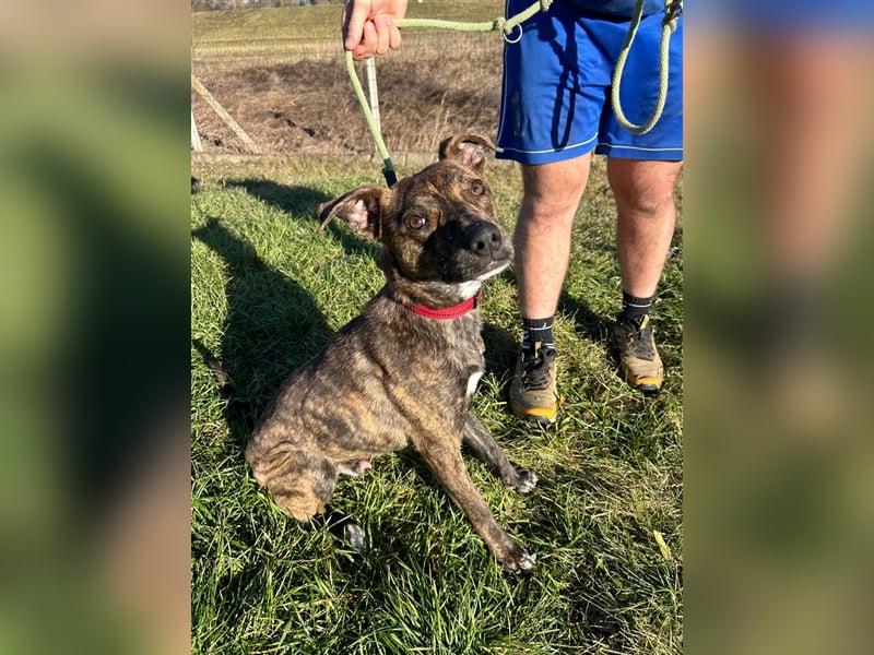 Alfónzo Zulu hat schon viel Schlimmes in seinem jungen Leben erlebt !