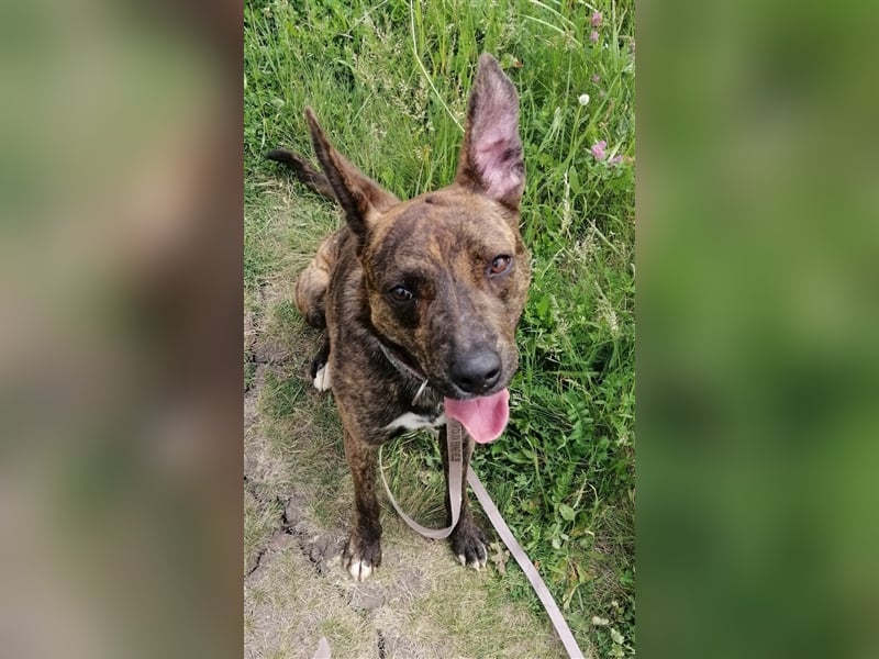 Alfónzo Zulu hat schon viel Schlimmes in seinem jungen Leben erlebt !