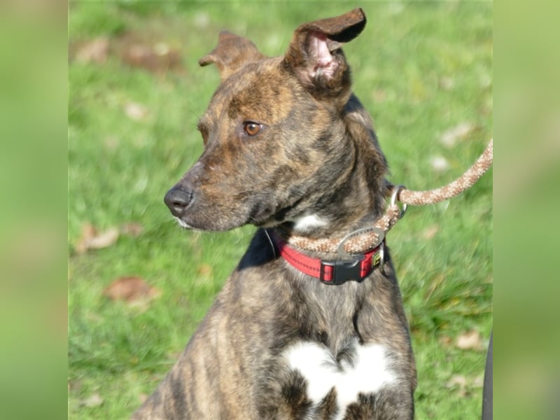 Alfónzo Zulu hat schon viel Schlimmes in seinem jungen Leben erlebt !