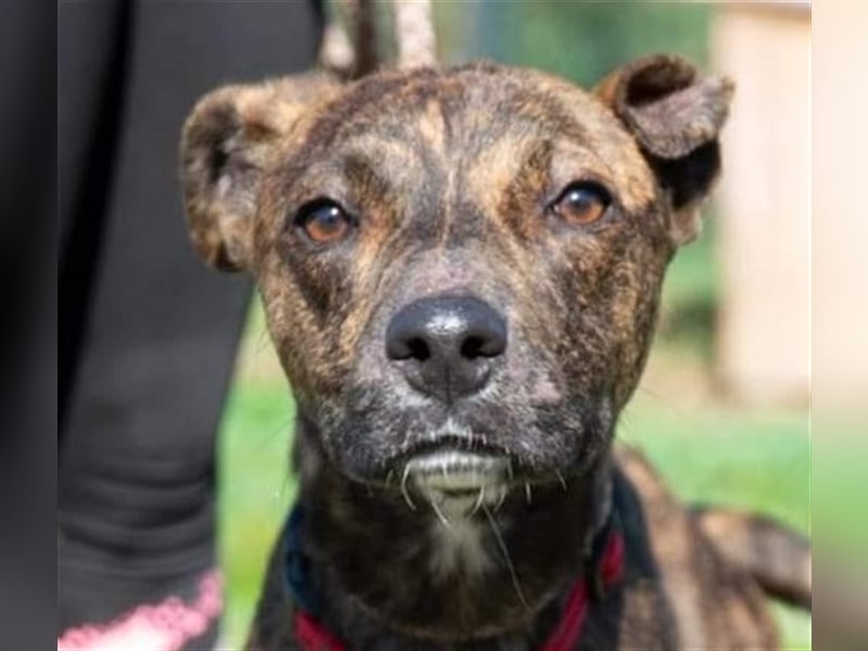 Alfónzo Zulu hat schon viel Schlimmes in seinem jungen Leben erlebt !