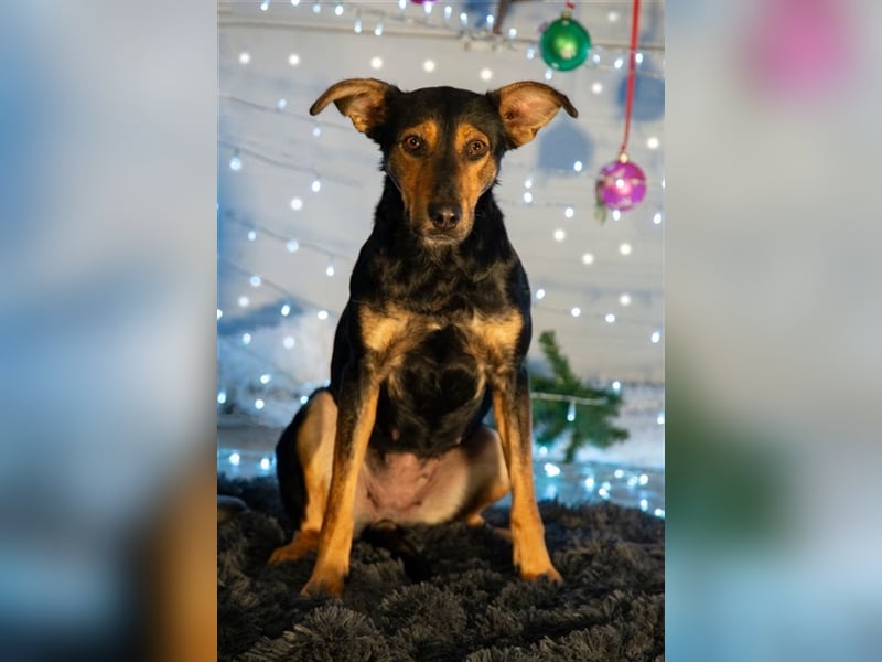 Kifli hat in ihrem jungen Leben nicht viel Gutes erleben dürfen und möchte jetzt endlich geli