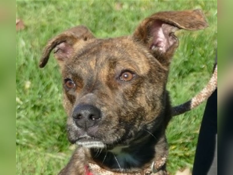 Alfónzo Zulu hat schon viel Schlimmes in seinem jungen Leben erlebt !