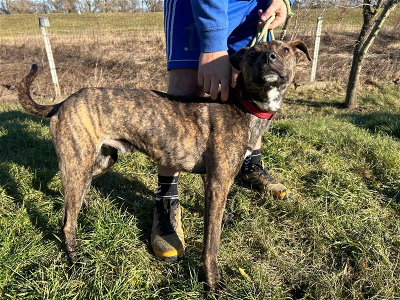 Alfónzo Zulu hat schon viel Schlimmes in seinem jungen Leben erlebt !