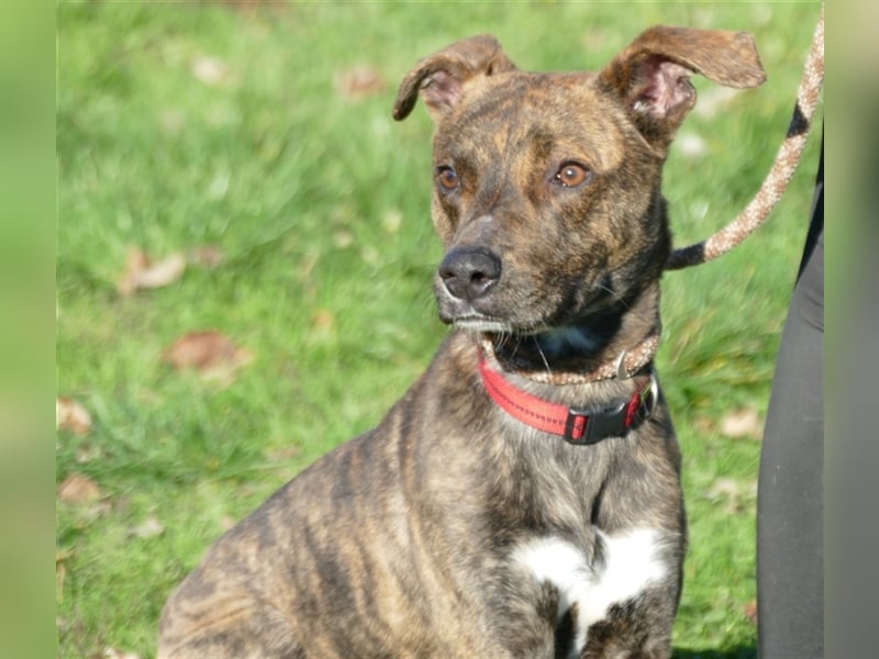 Alfónzo Zulu hat schon viel Schlimmes in seinem jungen Leben erlebt !