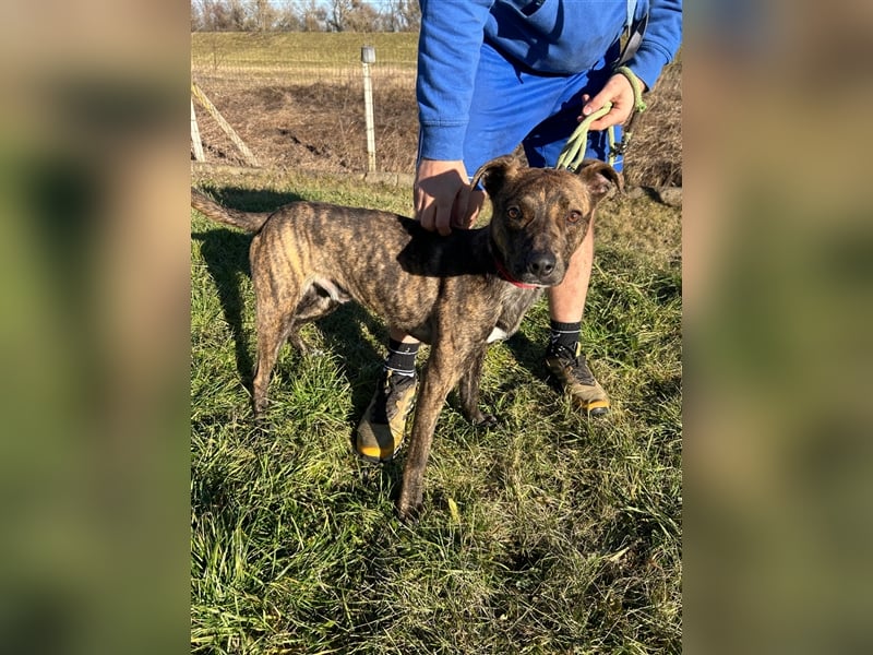 Alfónzo Zulu hat schon viel Schlimmes in seinem jungen Leben erlebt !