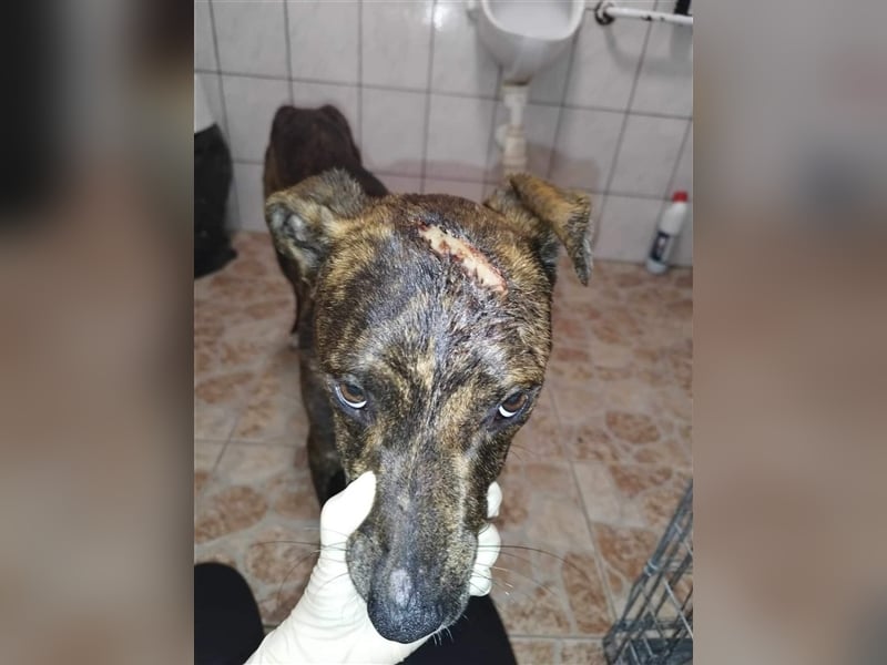 Alfónzo Zulu hat schon viel Schlimmes in seinem jungen Leben erlebt !