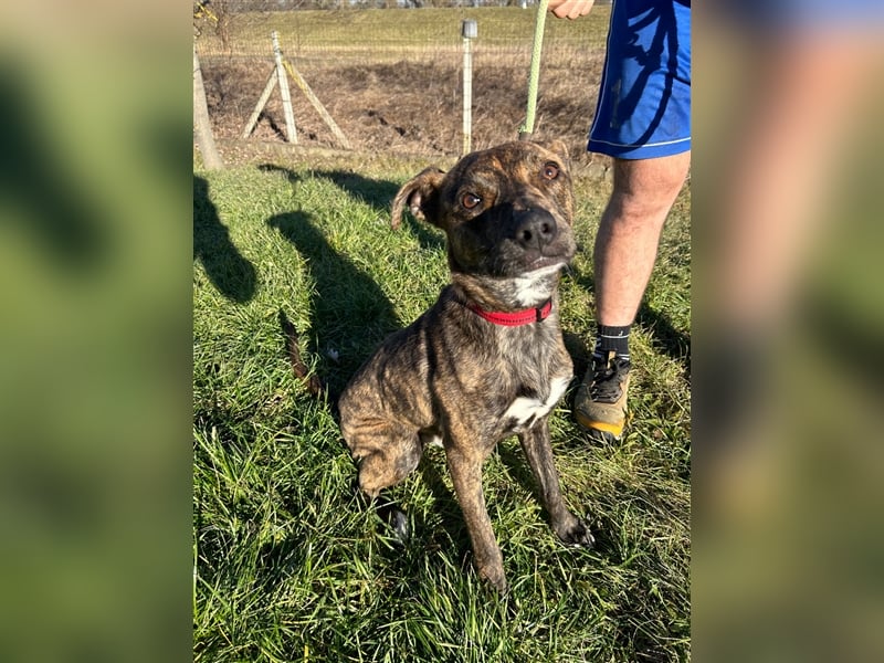 Alfónzo Zulu hat schon viel Schlimmes in seinem jungen Leben erlebt !