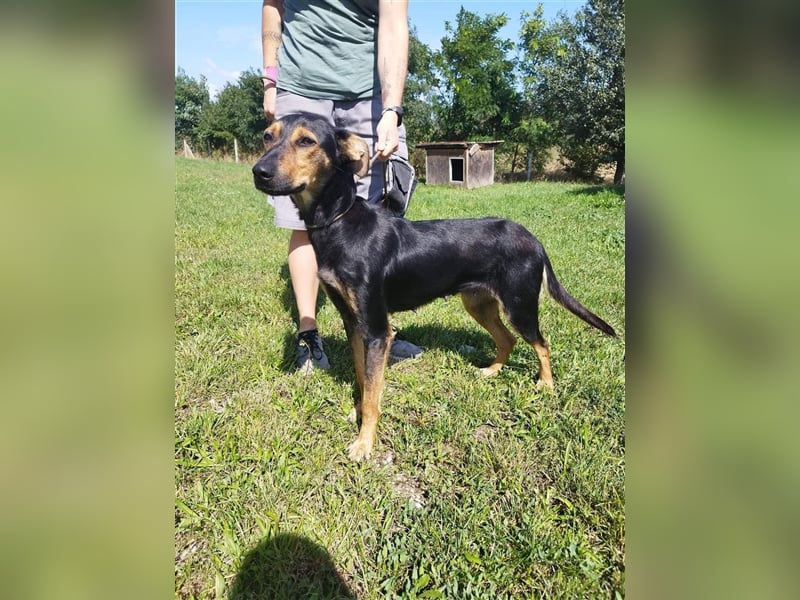 Kifli hat in ihrem jungen Leben nicht viel Gutes erleben dürfen und möchte jetzt endlich geli