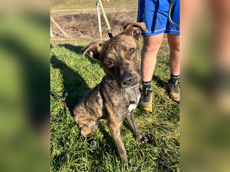 Alfónzo Zulu hat schon viel Schlimmes in seinem jungen Leben erlebt !