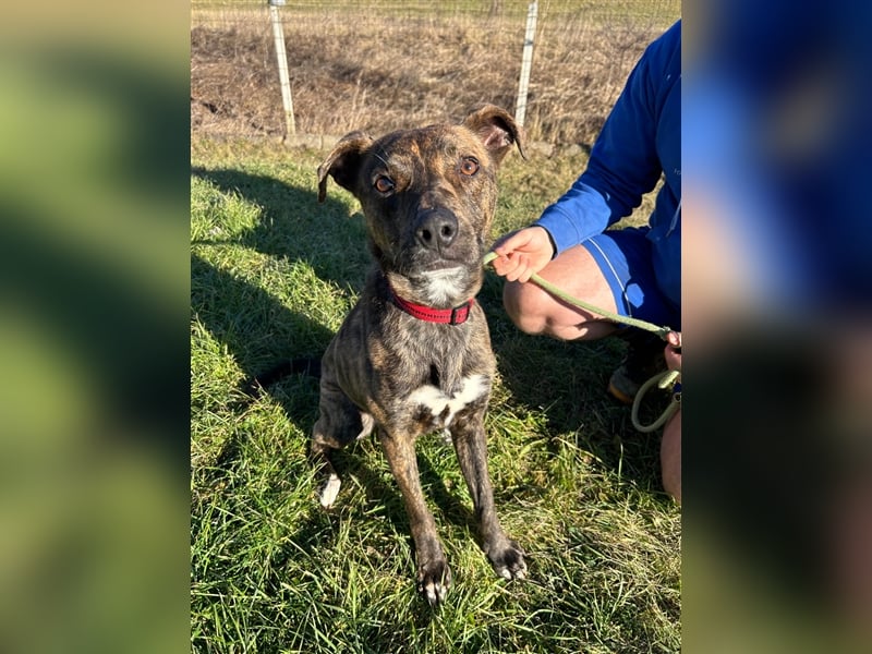 Alfónzo Zulu hat schon viel Schlimmes in seinem jungen Leben erlebt !