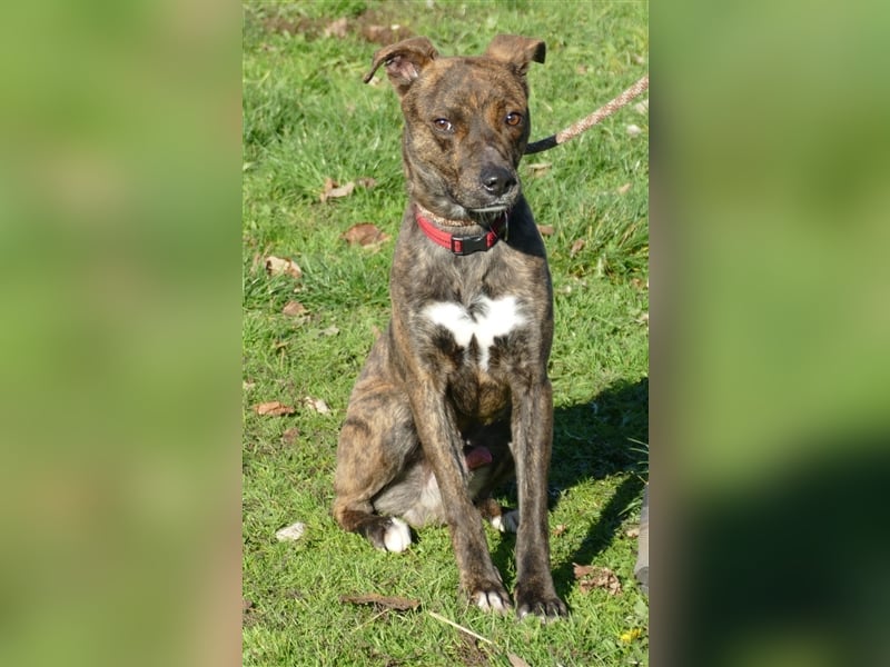 Alfónzo Zulu hat schon viel Schlimmes in seinem jungen Leben erlebt !