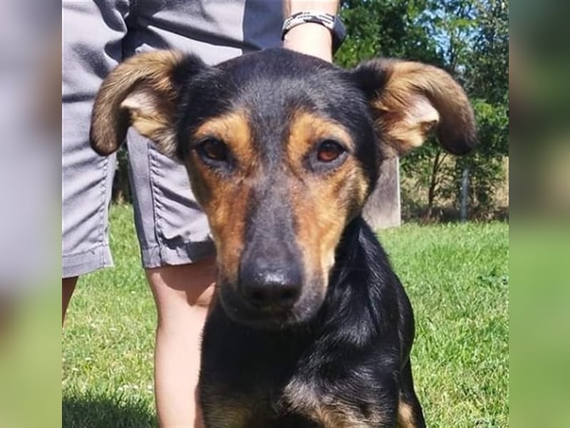 Kifli hat in ihrem jungen Leben nicht viel Gutes erleben dürfen und möchte jetzt endlich geli