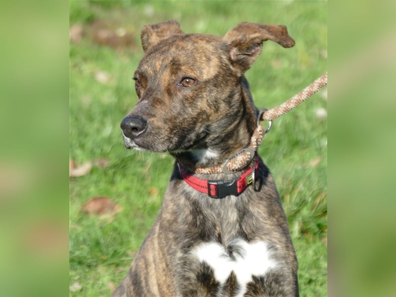 Alfónzo Zulu hat schon viel Schlimmes in seinem jungen Leben erlebt !