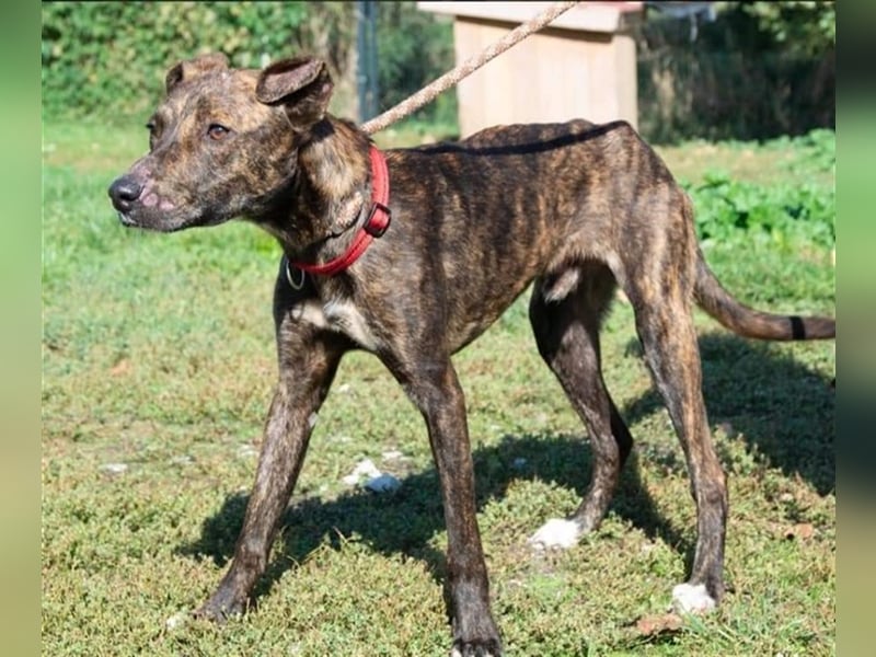 Alfónzo Zulu hat schon viel Schlimmes in seinem jungen Leben erlebt !