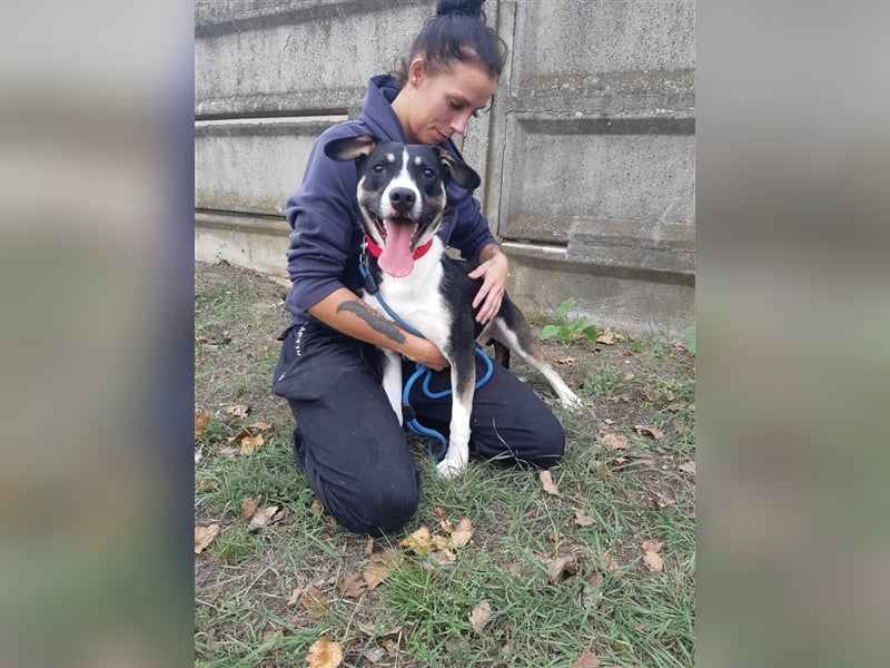 Wer verliebt sich in den hübschen Frank !