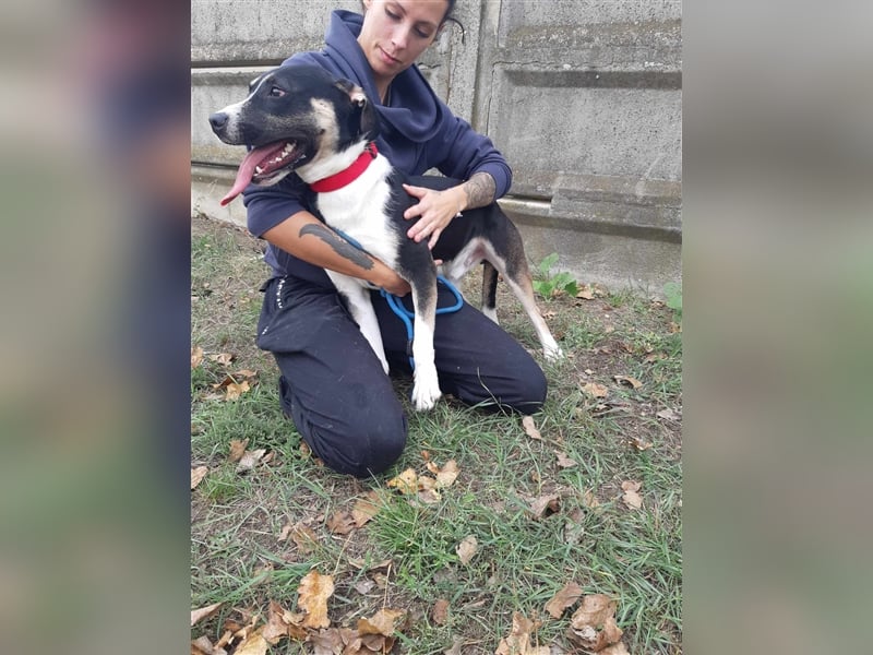 Wer verliebt sich in den hübschen Frank !