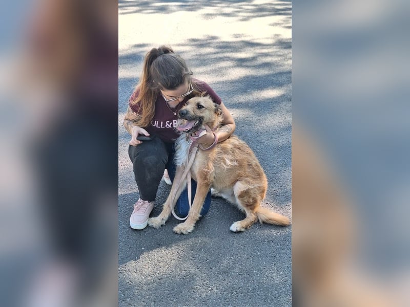 Figaro ist sehr freundlich und anhänglich !