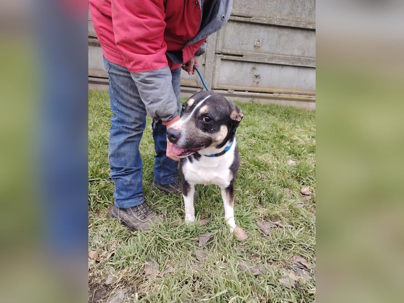 Wer verliebt sich in den hübschen Frank !