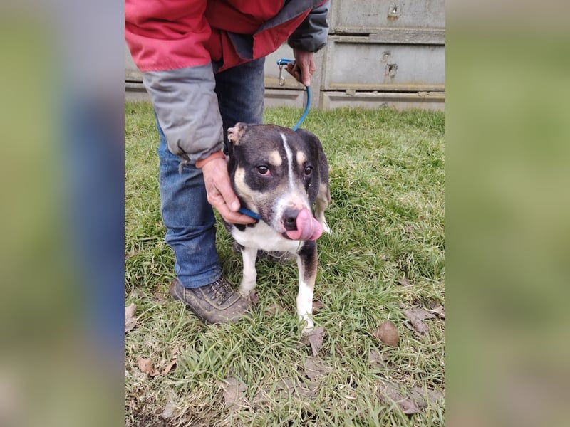 Wer verliebt sich in den hübschen Frank !