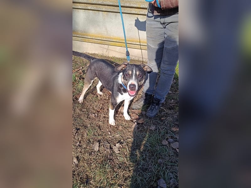 Wer verliebt sich in den hübschen Frank !