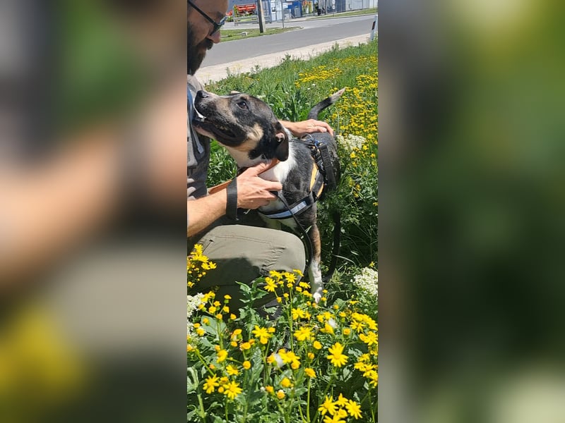 Wer verliebt sich in den hübschen Frank !