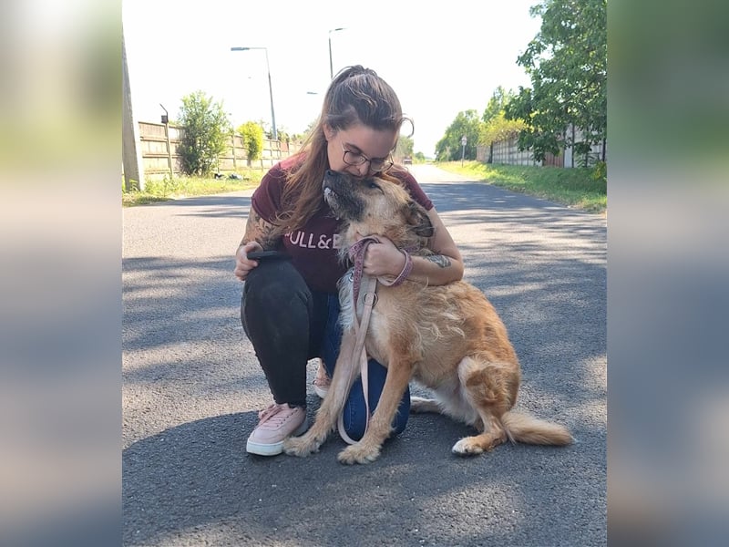 Figaro ist sehr freundlich und anhänglich !