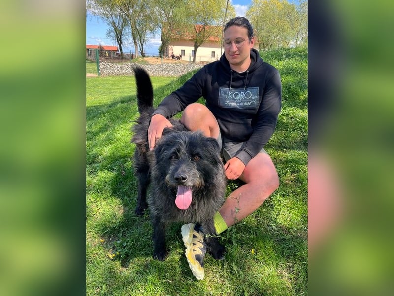 Anton - fröhlicher Wuschel sucht liebevolle Familie