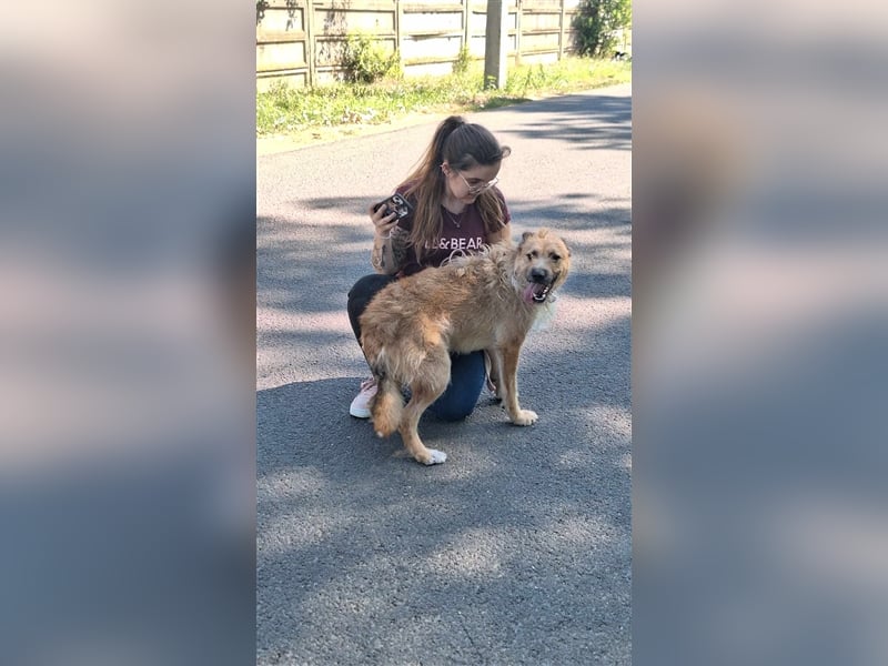 Figaro ist sehr freundlich und anhänglich !