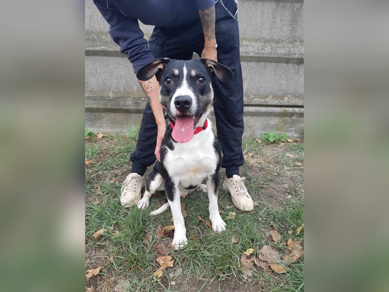 Wer verliebt sich in den hübschen Frank !