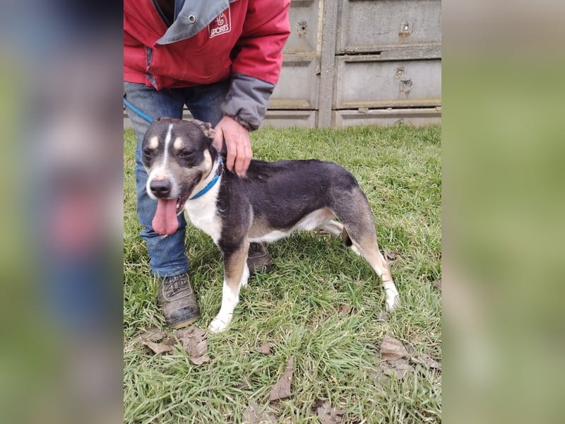 Wer verliebt sich in den hübschen Frank !