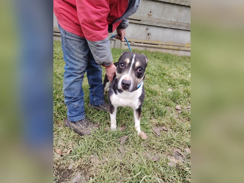 Wer verliebt sich in den hübschen Frank !